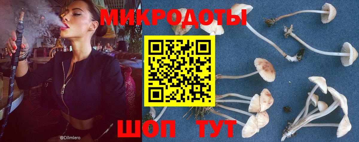 Заволжье  Галлюциногенные грибы мицелий  Вход с VPN 